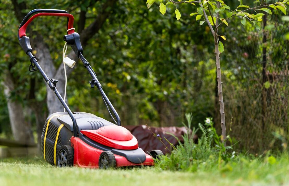 Illustration d'une tondeuse dans un jardin pour l'article de blog sur : Quelle autonomie pour une tondeuse batterie selon la surface de votre jardin ?